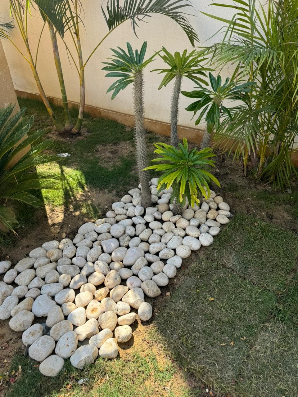 فيلا مستقلة للبيع في سيشيل، جاهز للسكن — photo 3
